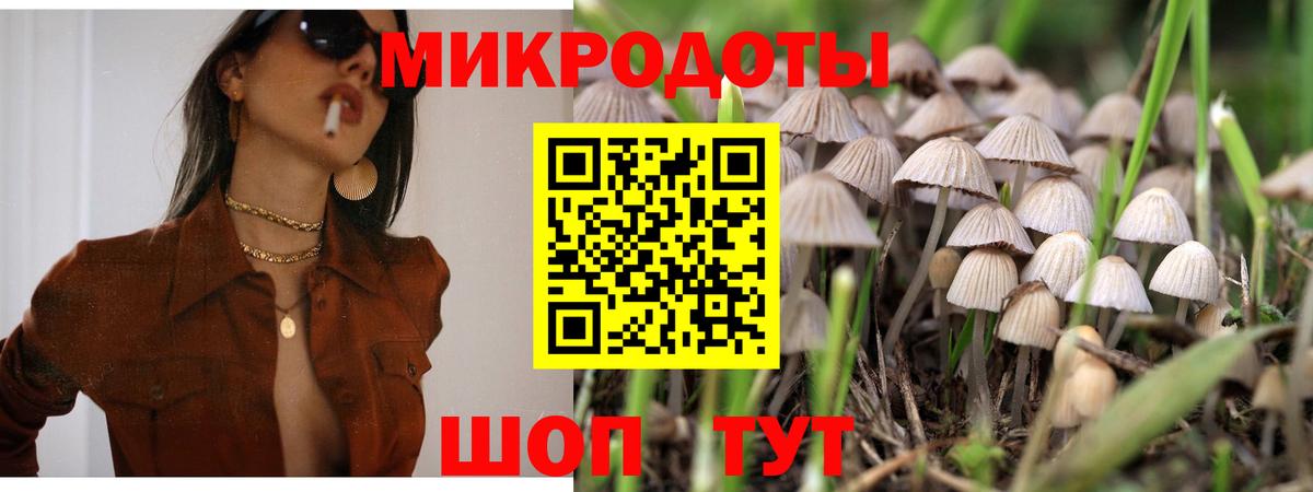 Псилоцибиновые грибы мухоморы Майкоп
