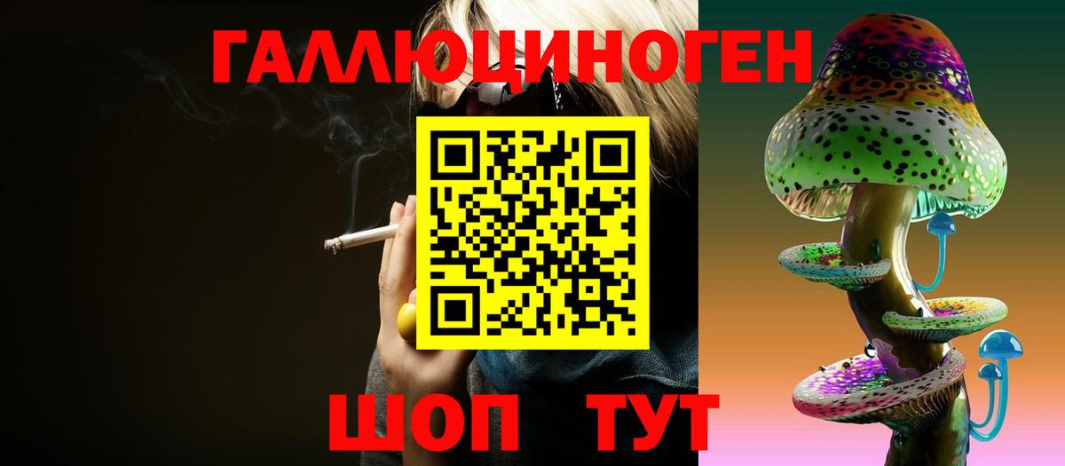 Майкоп  Галлюциногенные грибы MAGIC MUSHROOMS  дарнет шоп  Вход с VPN 